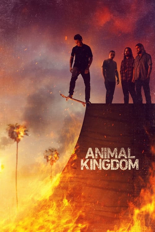 Animal Kingdom : 6.Sezon 4.Bölüm izle