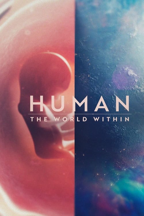 Human The World Within : 1.Sezon 3.Bölüm