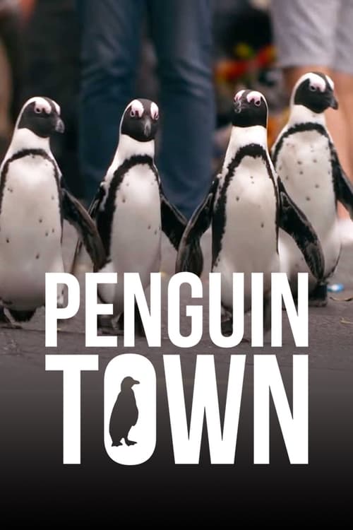 Penguin Town : 1.Sezon 6.Bölüm