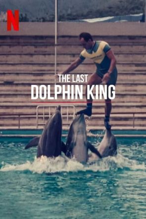 ¿Qué le pasó al rey de los delfines? (2022)