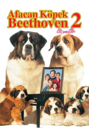 Afacan Köpek Beethoven 2 (1993)