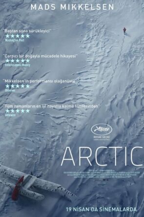 Arctic (2018)