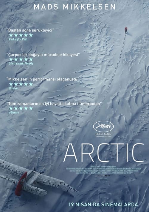 Arctic (2018)