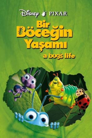 Bir Böceğin Yaşamı (1998)