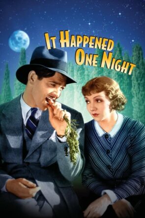 Bir Gecede Oldu (1934)