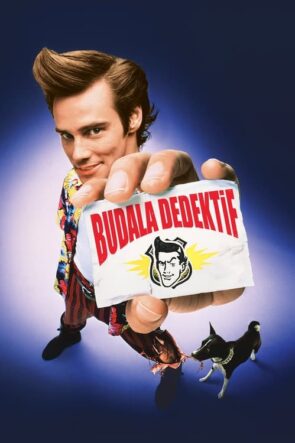 Budala Dedektif (1994)