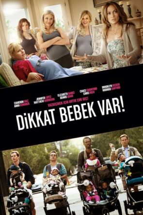 Dikkat Bebek Var! (2012)