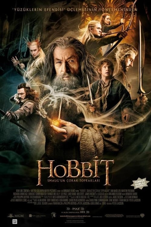 Hobbit: Smaug’un Çorak Toprakları (2013)
