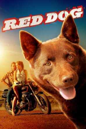 Kırmızı Köpek (2011)