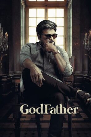 Mafya Babası /  Godfather (2022)