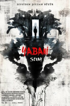 Yabani – Stray (2019)