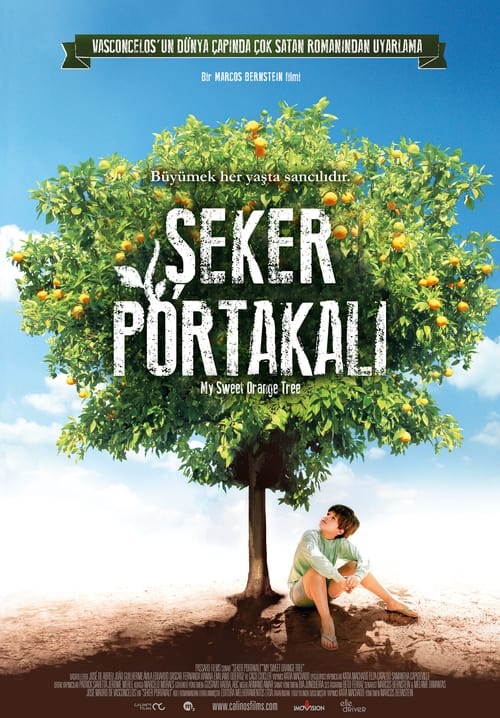 Şeker Portakalı (2013)