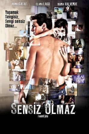 Sensiz Olmaz (2012)