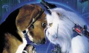 Kediler ve Köpekler (2001)