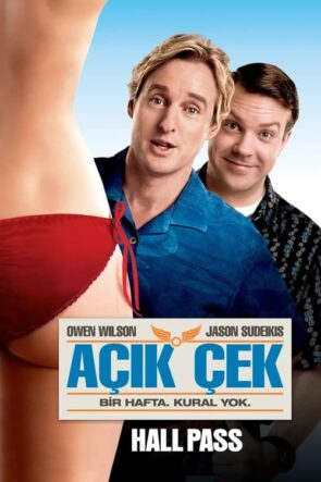 Açık Çek (2011)