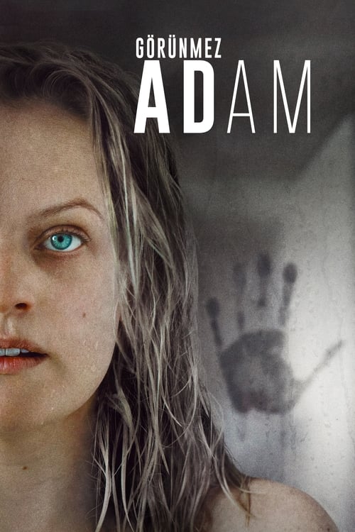 Görünmez Adam (2020)
