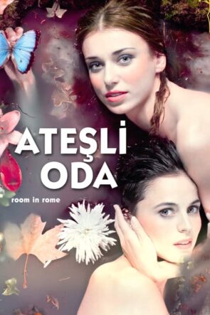 Ateşli Oda (2010)