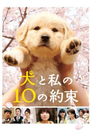 犬と私の10の約束 (2008)