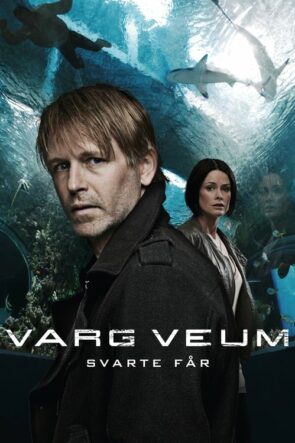 Varg Veum – Yüz Karası (2011)