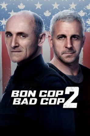 Bon Cop Bad Cop 2 (2017)