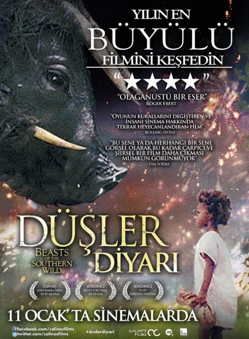 Düşler Diyarı (2012)