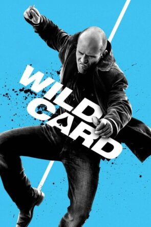 Wild Card (2015)