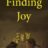 Finding Joy : 1.Sezon 2.Bölüm izle