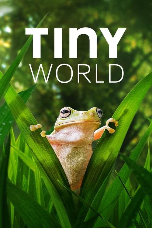 Tiny World : 2.Sezon 4.Bölüm